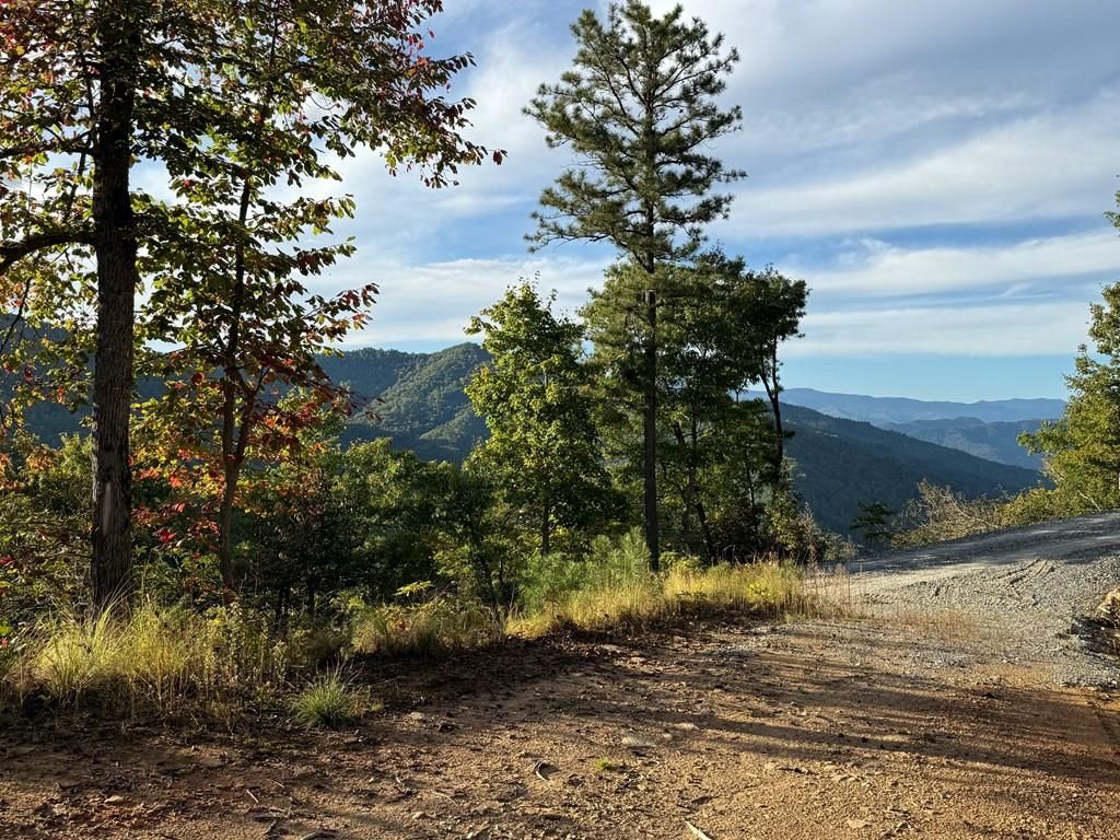 Photo of 406 Cardinal Bluff Drive, Whittier, NC 28789 (MLS # 26042764)