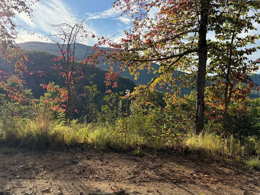 Photo of 406 Cardinal Bluff Road, Whittier, NC 28789 (MLS # 26042764)