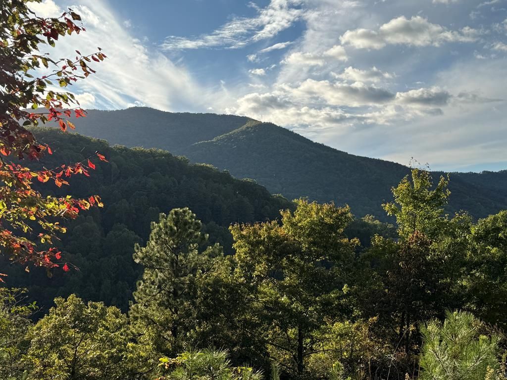 Photo of 406 Cardinal Bluff Road, Whittier, NC 28789 (MLS # 26042764)