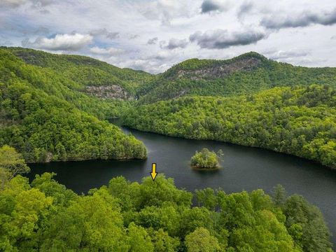 Photo of Lot 720 Southshore DR, Tuckasegee, NC 28783 (MLS # 26047715)