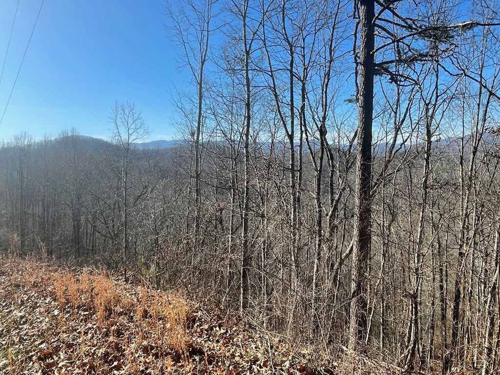Photo of Lot 64 Bobcat Trail, Bryson City, NC 28713 (MLS # 26039813)