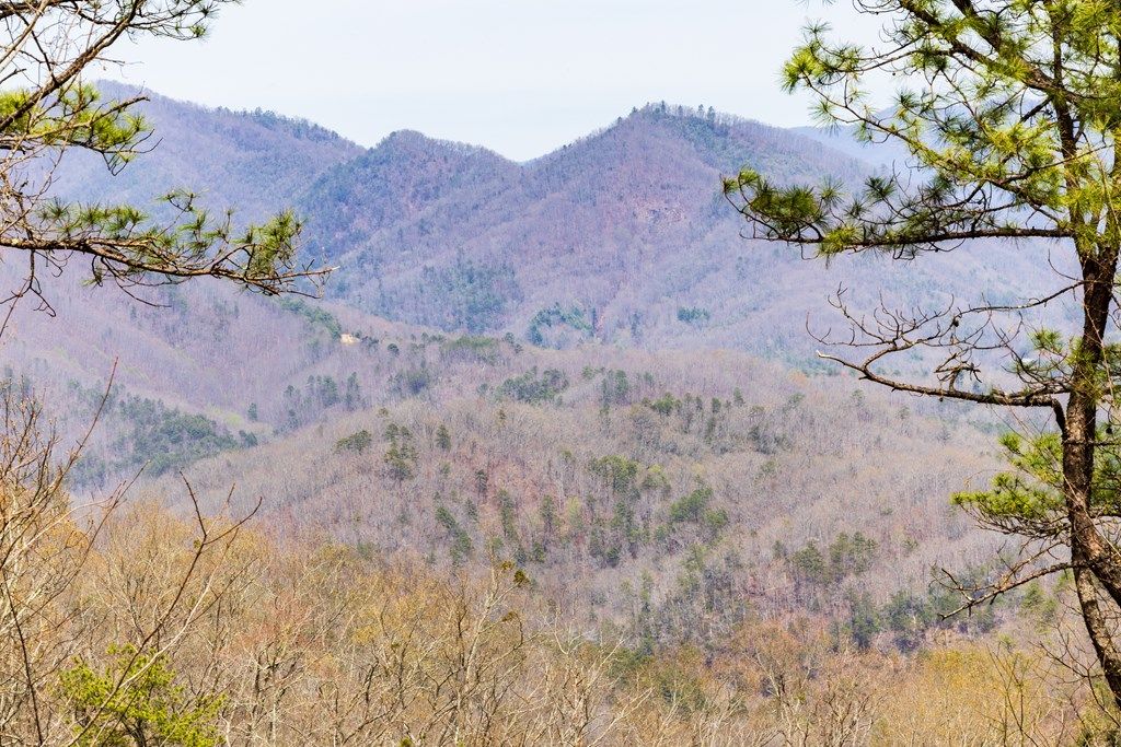Photo of Lot 5 Butternut Ridge, Bryson City, NC 28713 (MLS # 26041406)