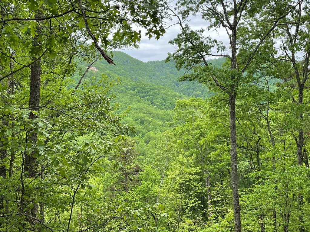 Photo of Lot 5 Butternut Ridge, Bryson City, NC 28713 (MLS # 26041406)