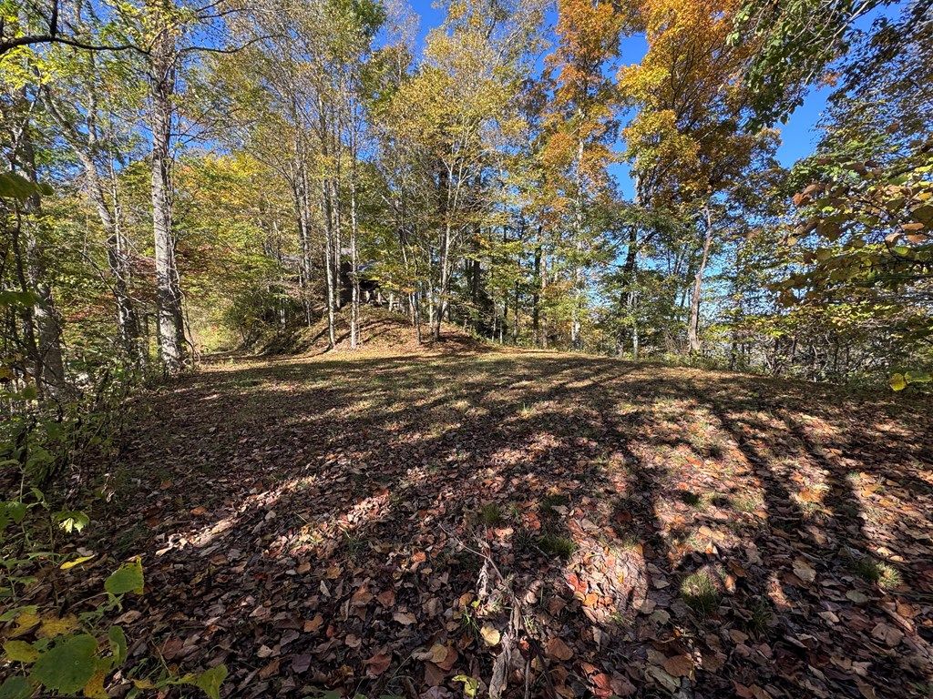 Photo of 0 Glory Mountain Rd, Bryson City, NC 28713 (MLS # 26042576)