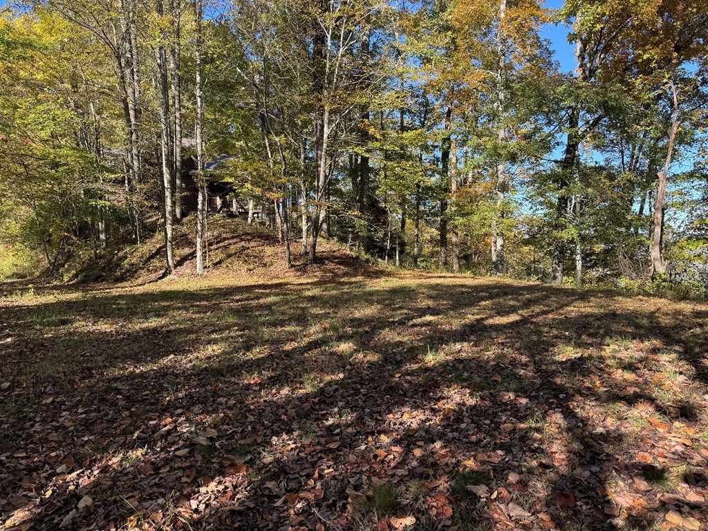 Photo of 0 Glory Mountain Rd, Bryson City, NC 28713 (MLS # 26042576)