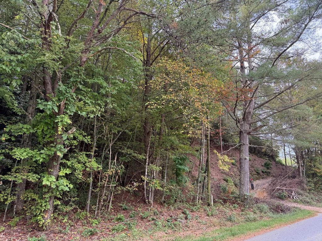 Photo of 0 Canada Rd, Tuckasegee, NC 28783 (MLS # 26042401)
