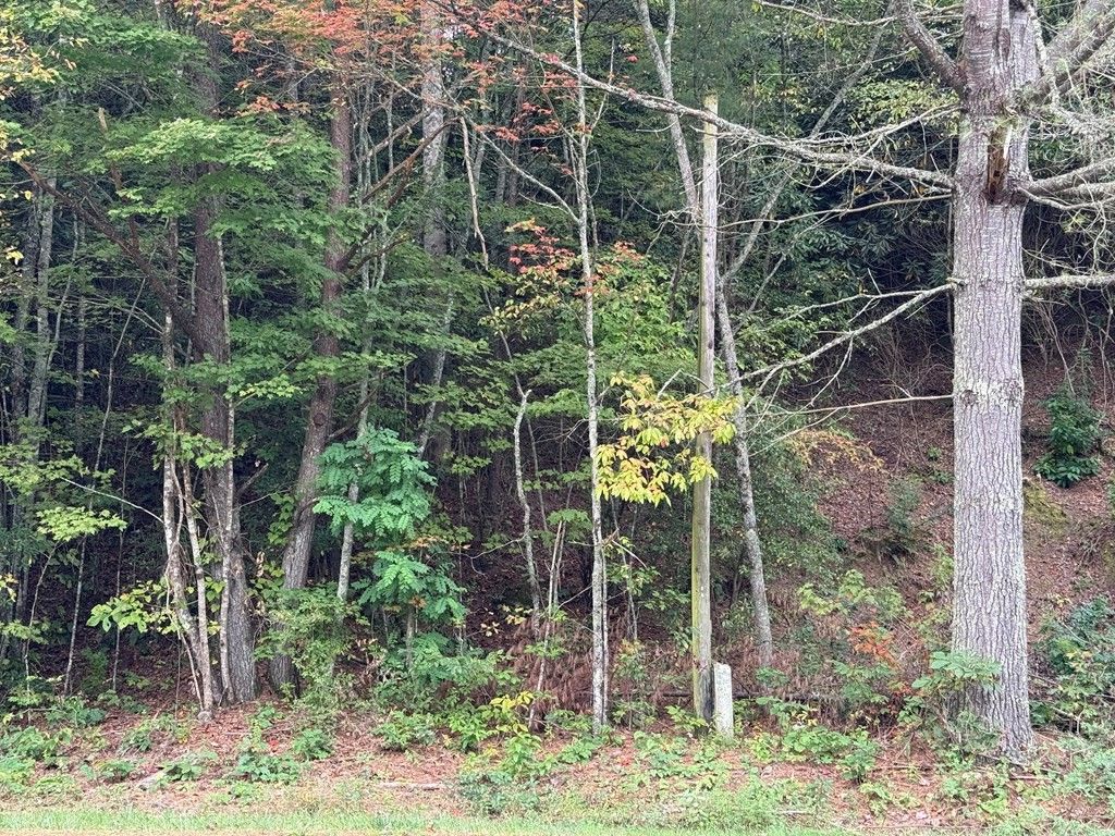 Photo of 0 Canada Rd, Tuckasegee, NC 28783 (MLS # 26042401)