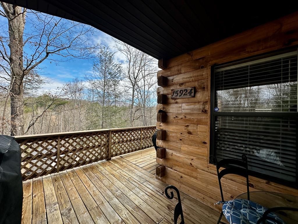 Photo of 383 Blue Mist Mountain Rd, Whittier, NC 28789 (MLS # 26046743)