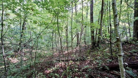 Photo of 0 Cross Creek Circle, Sylva, NC 28779 (MLS # 26042077)