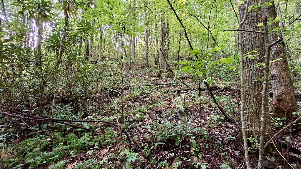 Photo of 0 Cross Creek Circle, Sylva, NC 28779 (MLS # 26042077)