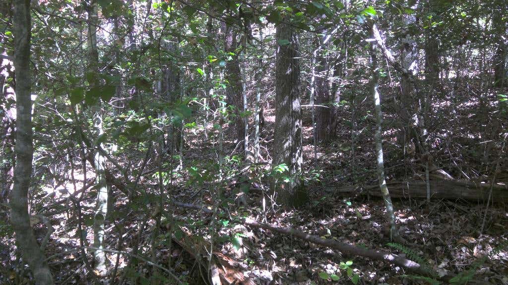Photo of LT 18 Mountaineer Rd, Whittier, NC 28789 (MLS # 26048291)
