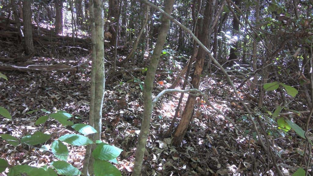 Photo of LT 18 Mountaineer Rd, Whittier, NC 28789 (MLS # 26048291)