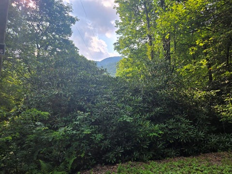 Photo of 000 Greenspire Road, Sylva, NC 28779 (MLS # 26048084)