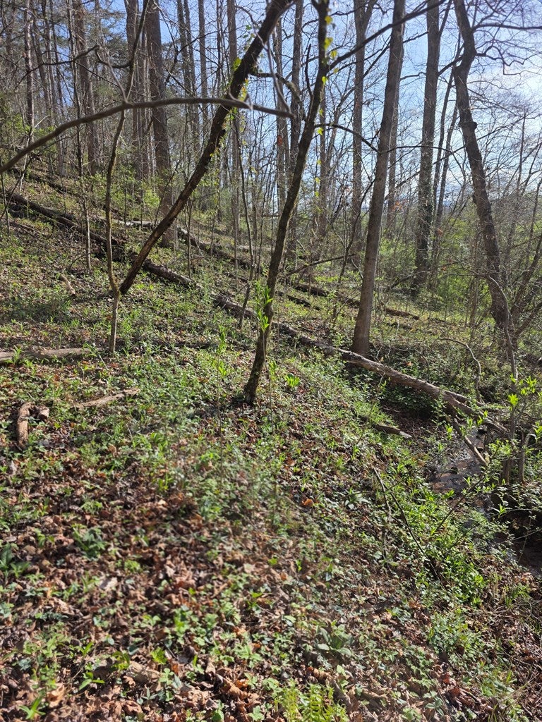 0 Robinhood Lane