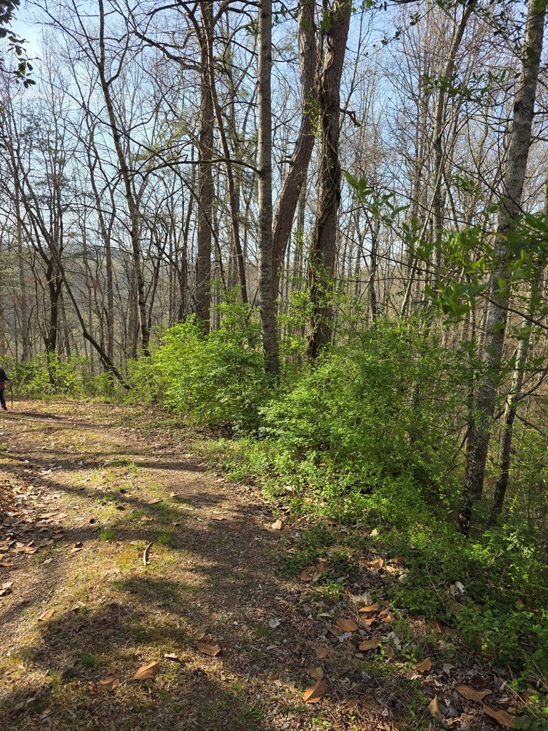 0 Robinhood Lane