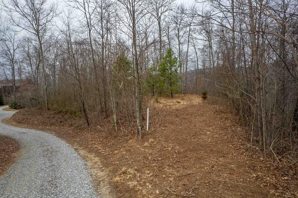 Photo of Lot 33 Alarka Highlands, Bryson City, NC 28713 (MLS # 26046645)