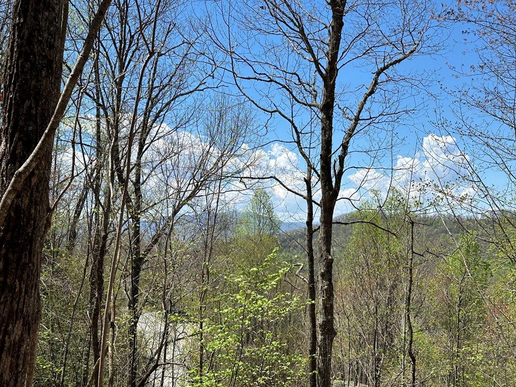 Photo of Lot 23 Azalea Creek Rd, Bryson City, NC 28713 (MLS # 26036963)