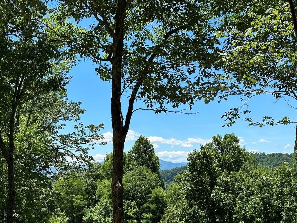 Photo of Lot 23 Azalea Creek Rd, Bryson City, NC 28713 (MLS # 26036963)