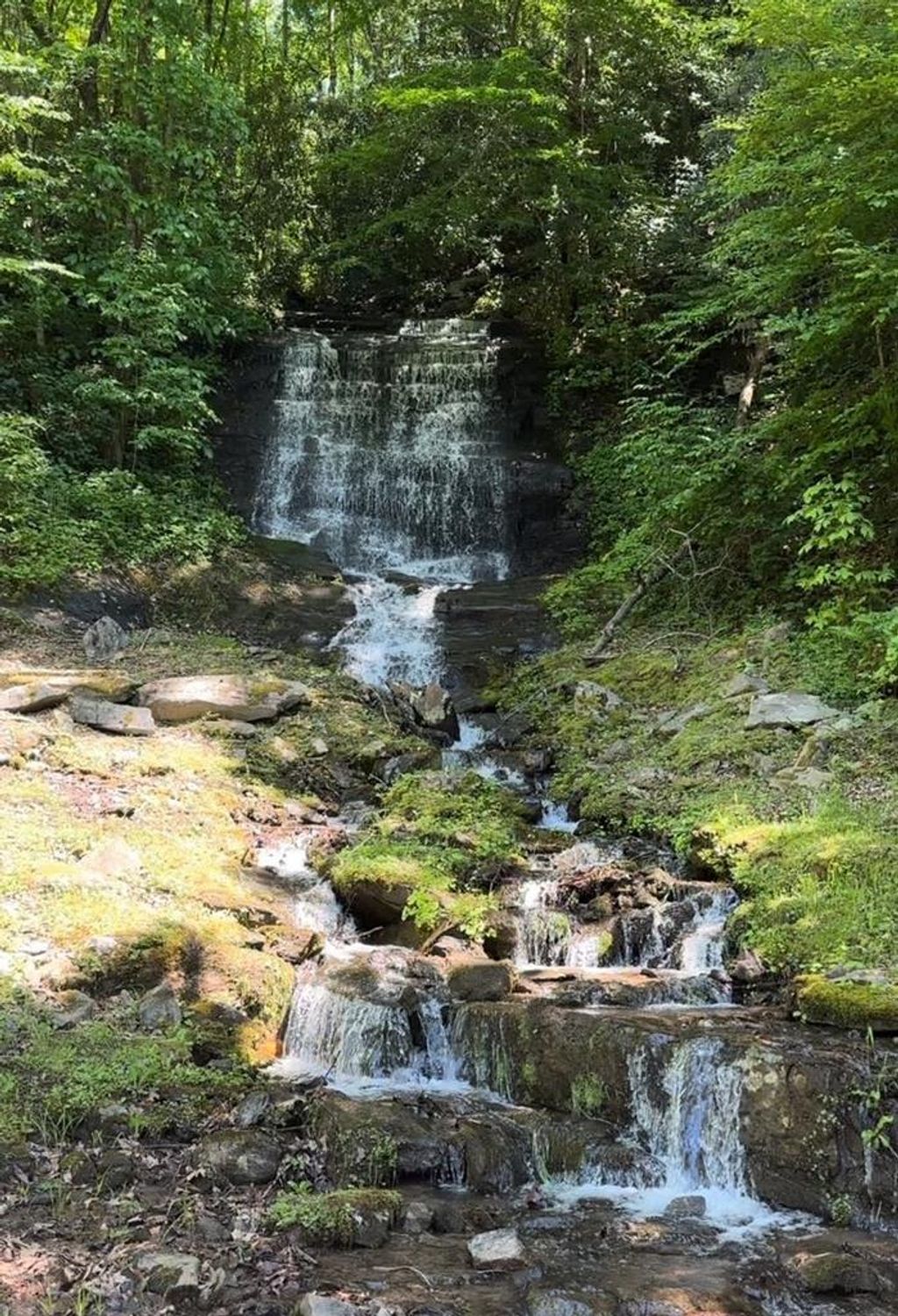 Photo of Lot 23 Azalea Creek Rd, Bryson City, NC 28713 (MLS # 26036963)