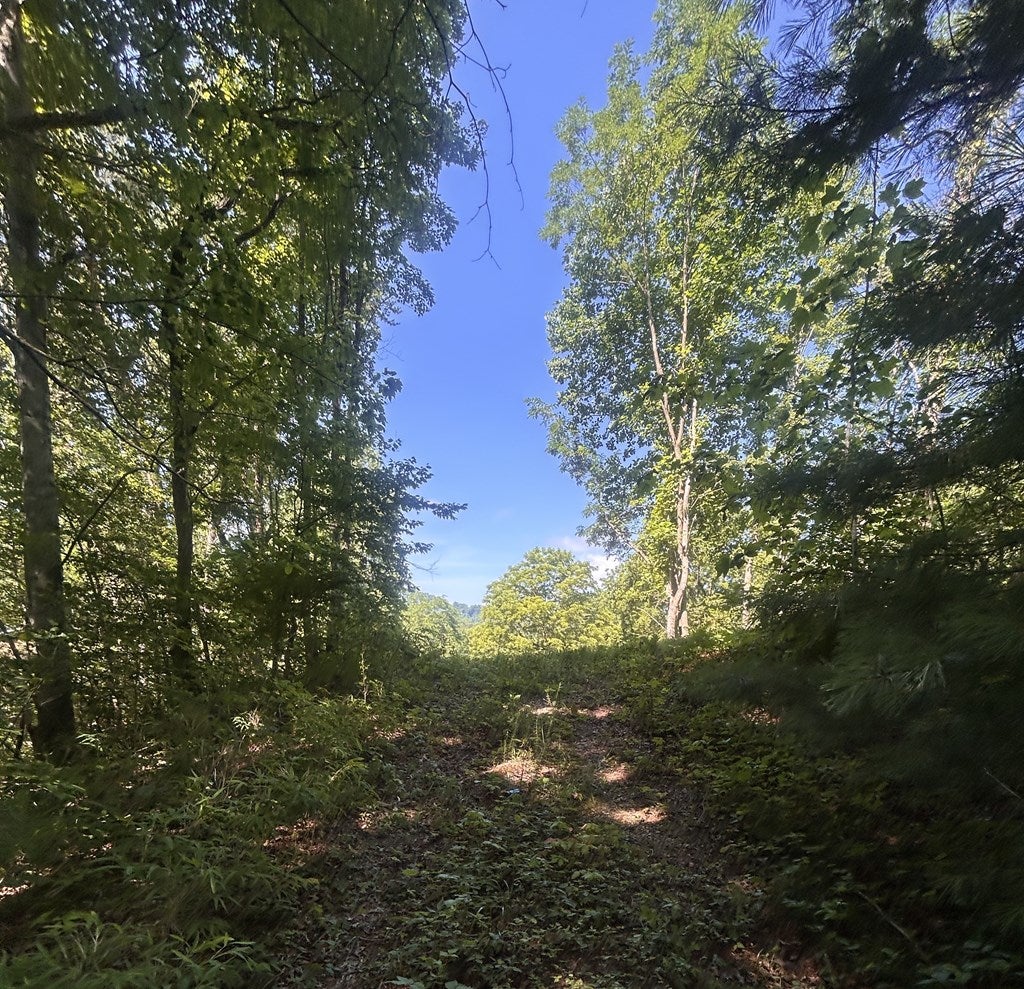 Photo of 2420 Balltown Road, Bryson City, NC 28713 (MLS # 26047754)