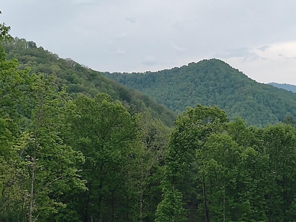 Photo of 316 Majestic Mountain View, Bryson City, NC 28713 (MLS # 26042334)