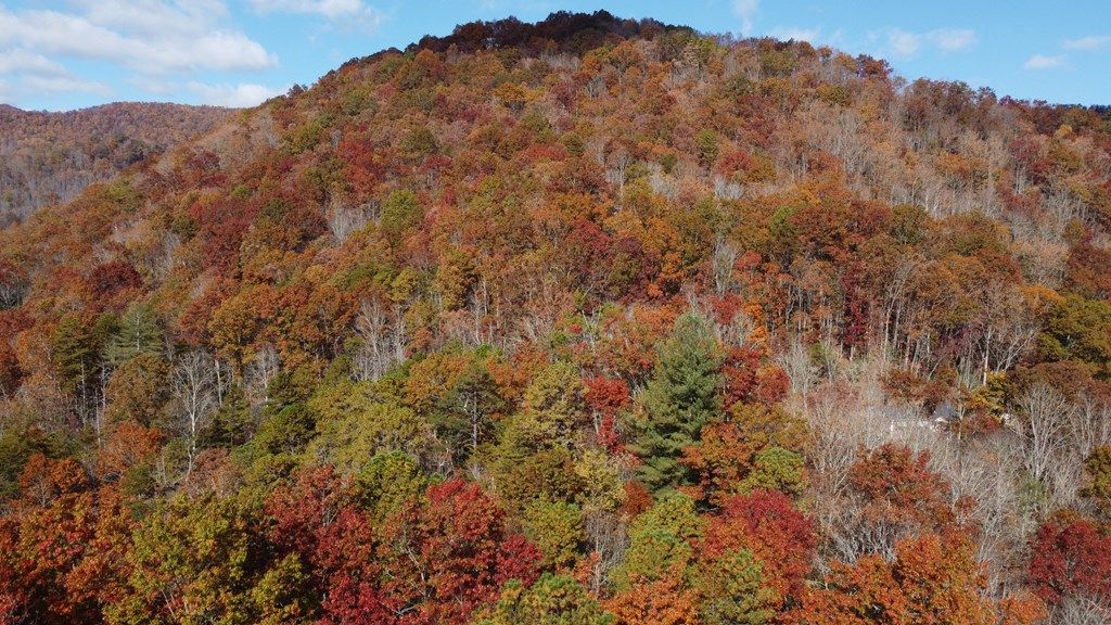 Photo of 00 Sutton Branch Road, Sylva, NC 28779 (MLS # 26041212)