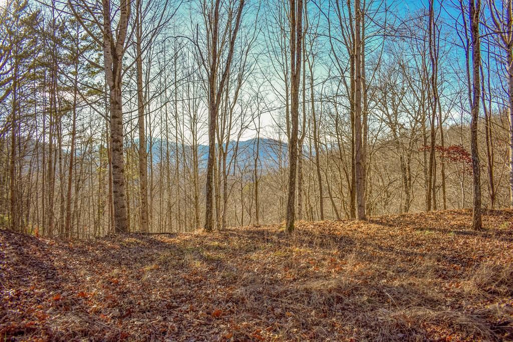 Photo of 10 Ridge Place, Bryson City, NC 28713 (MLS # 26043021)