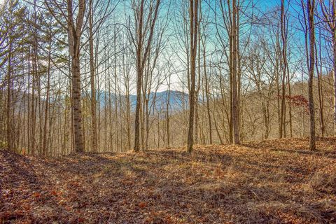 Photo of 10 Ridge Place, Bryson City, NC 28713 (MLS # 26043021)