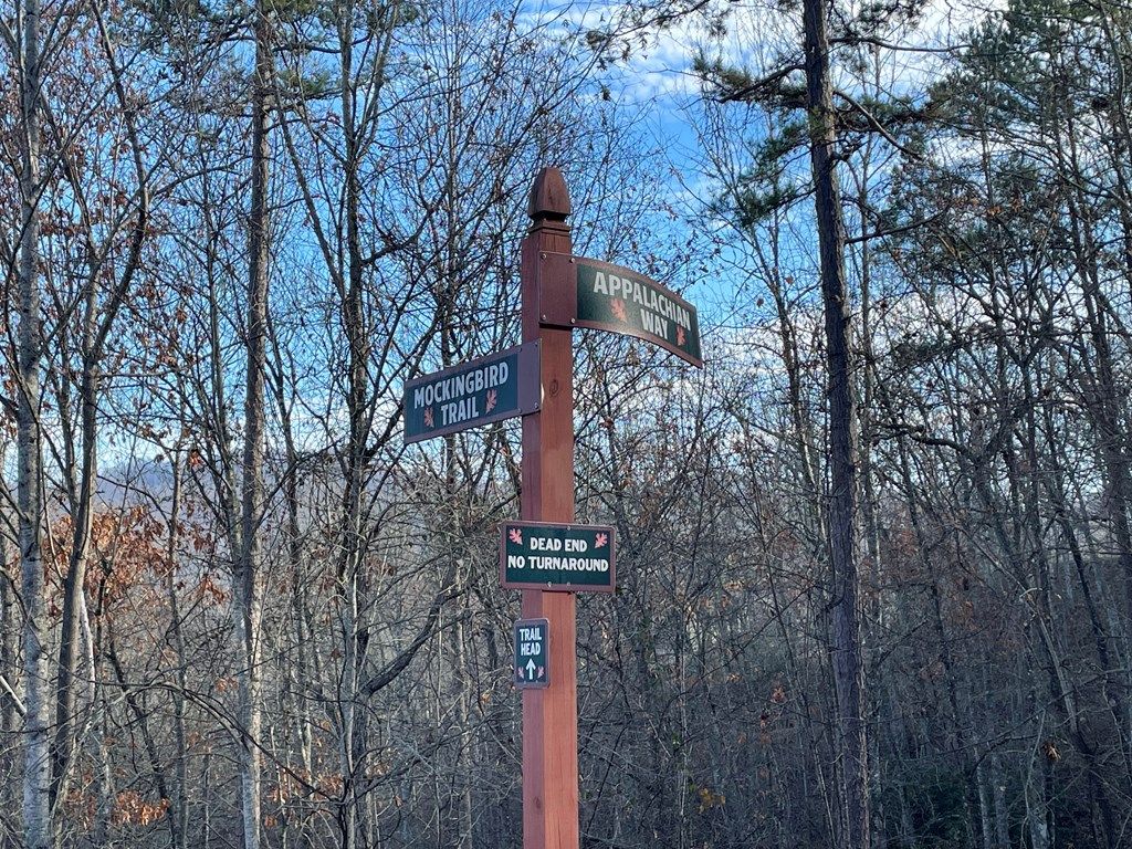 Photo of 80-3 Hemlock Walk, Bryson City, NC 28713 (MLS # 26042745)