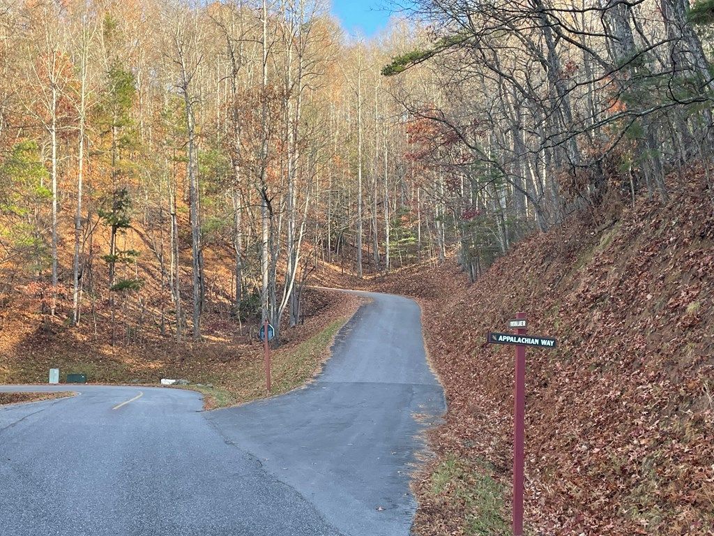 Photo of 80-3 Hemlock Walk, Bryson City, NC 28713 (MLS # 26042745)