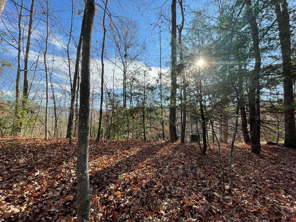 Photo of 80-3 Hemlock Walk, Bryson City, NC 28713 (MLS # 26042745)