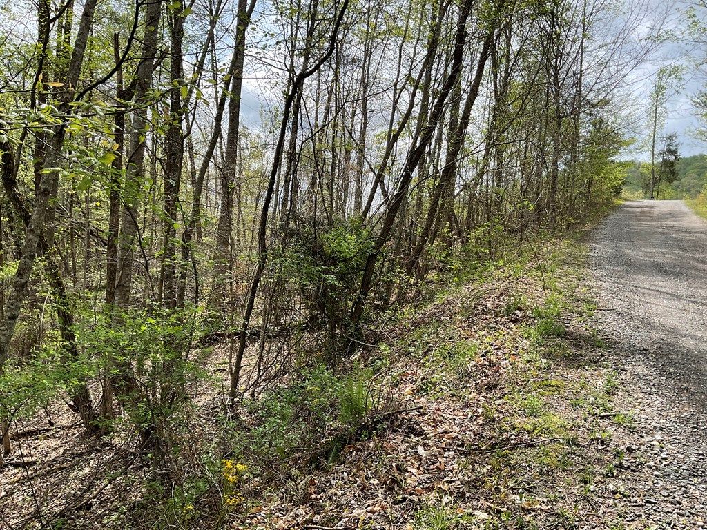 Photo of Lt 19 Amaryllis Trail, Cullowhee, NC 28723 (MLS # 26040783)