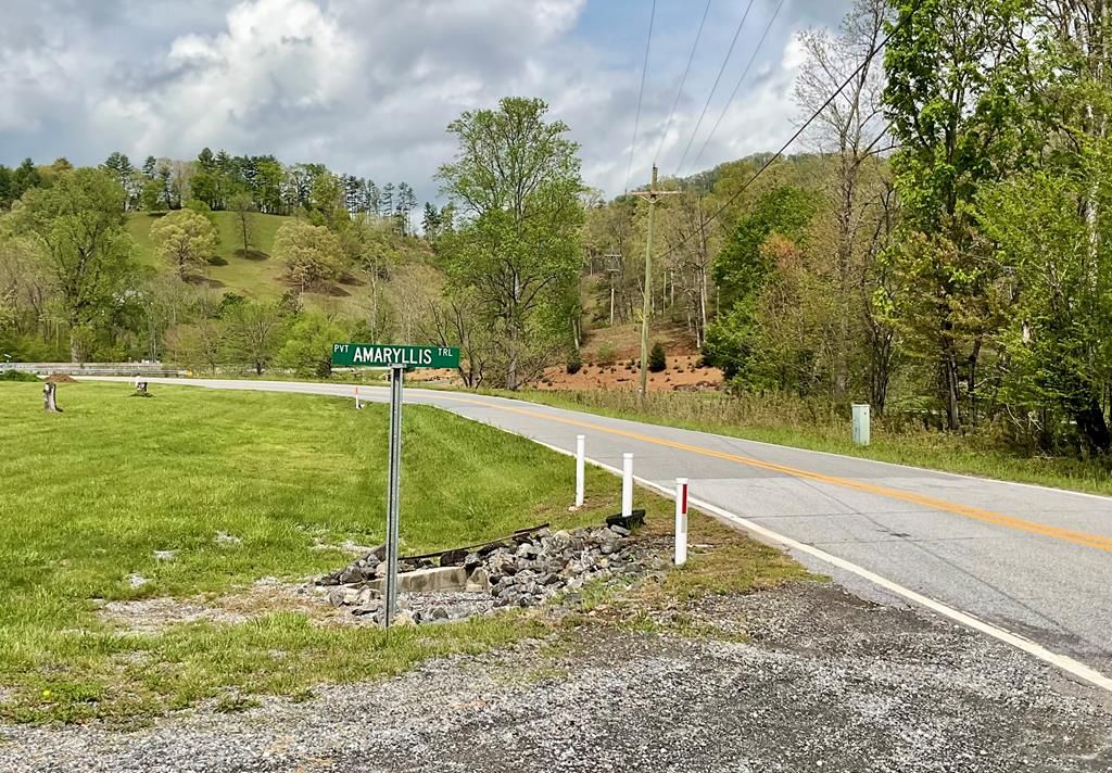 Photo of Lt 19 Amaryllis Trail, Cullowhee, NC 28723 (MLS # 26040783)