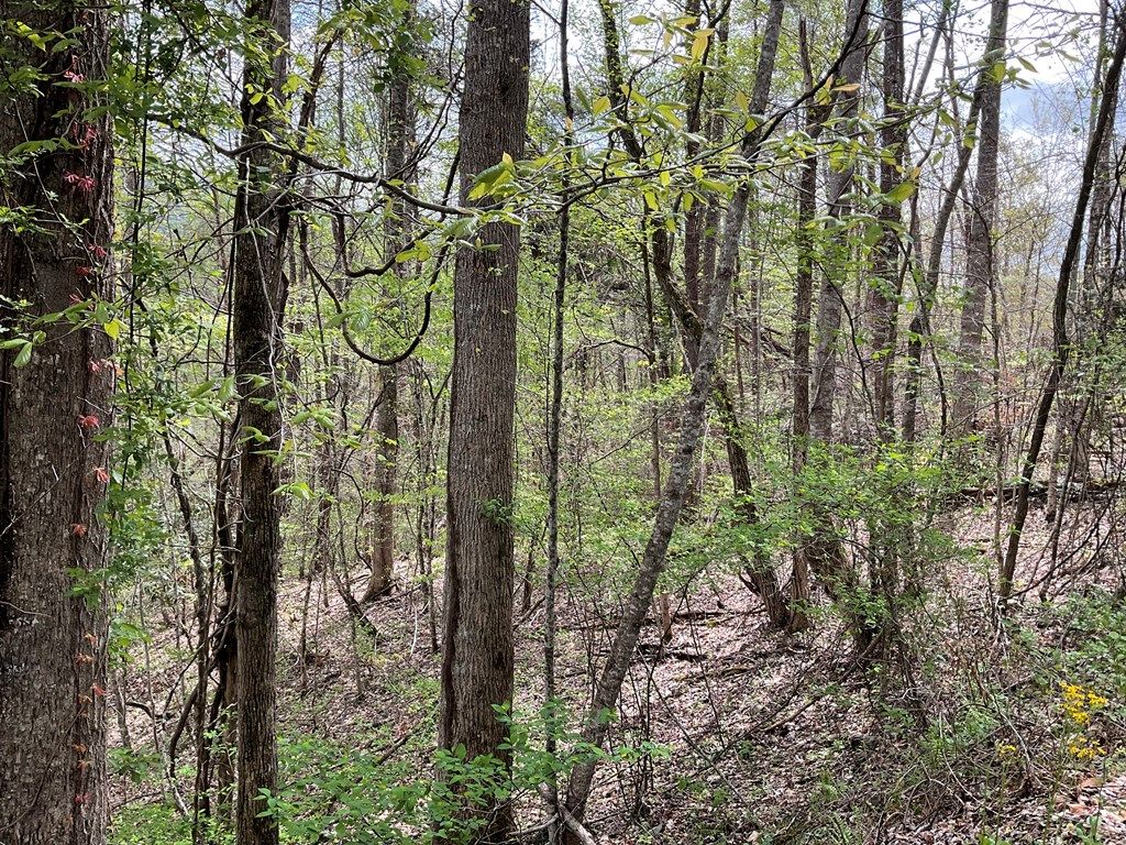 Photo of Lt 19 Amaryllis Trail, Cullowhee, NC 28723 (MLS # 26040783)