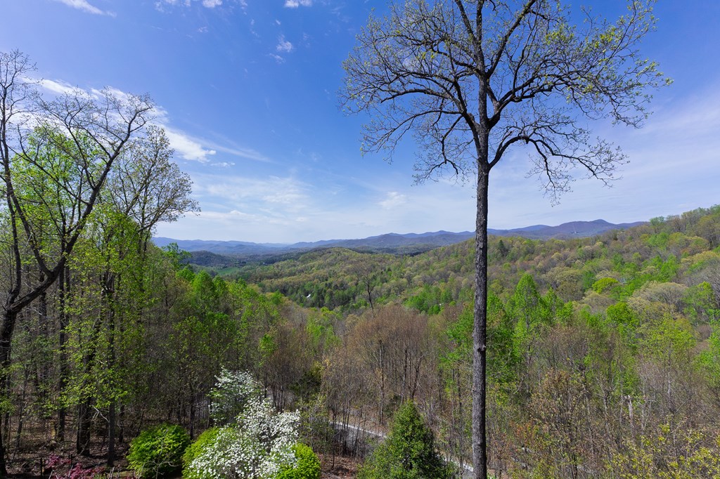 129 Skyline Park Dr