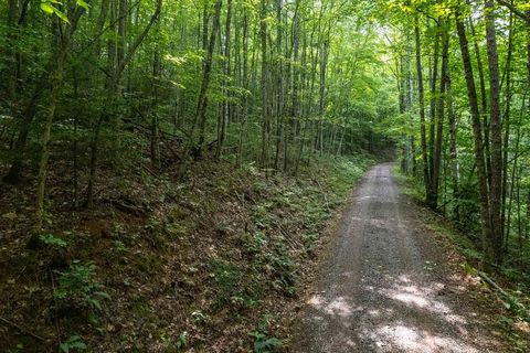 Photo of Lot 12 Carousel Lane, Sylva, NC 28779 (MLS # 26042823)