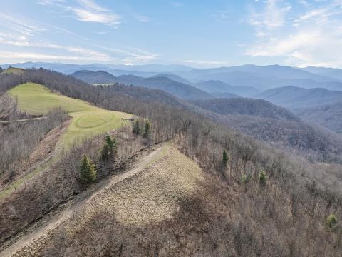 Photo of 1050 Turkey Trot Rd, Clyde, NC 28721 (MLS # 26046918)
