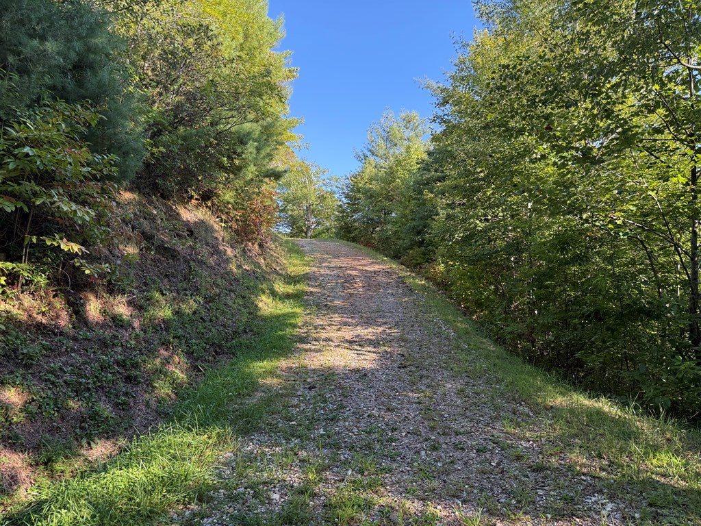 Lot 28 Mystic Ridge Way W