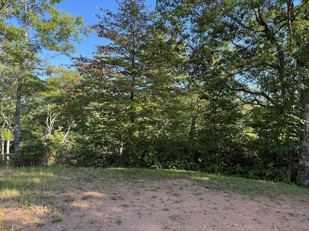 Lot 28 Mystic Ridge Way W