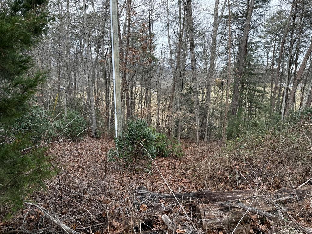 Lot 33 Ideal Acres