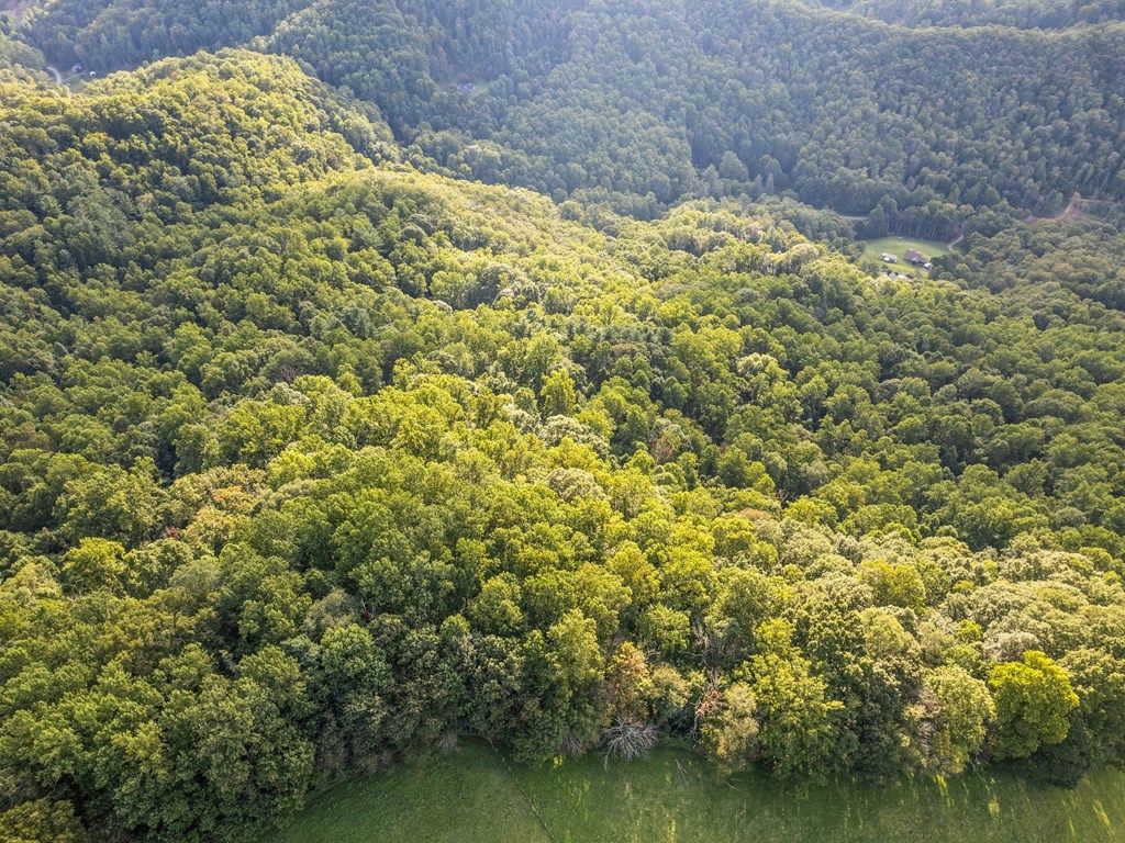 Photo of 00 Crackin Chestnut Lane, Sylva, NC 28779 (MLS # 26042607)