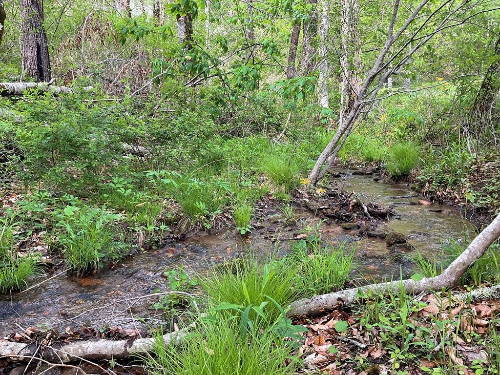 Photo of Lt 11 Amaryllis Trail, Cullowhee, NC 28723 (MLS # 26040790)