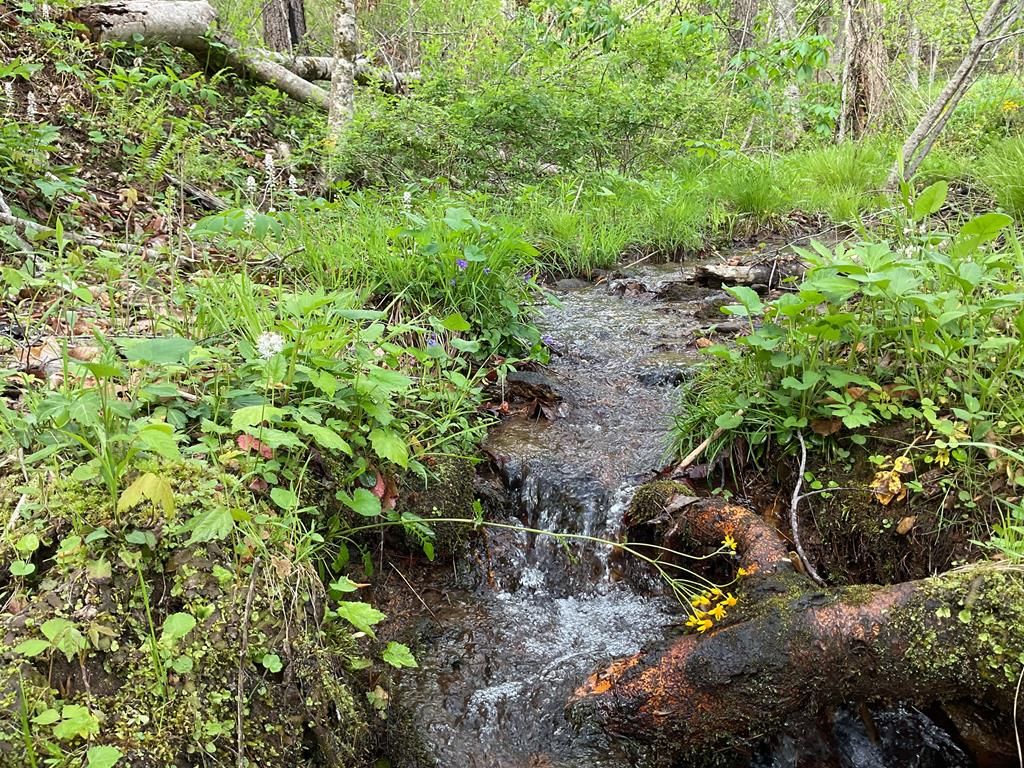 Photo of Lt 11 Amaryllis Trail, Cullowhee, NC 28723 (MLS # 26040790)