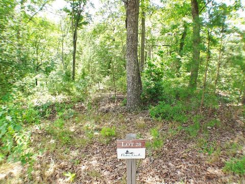 Photo of Lot #28 Porter Creek Rd, Franklin, NC 28734 (MLS # 26046514)