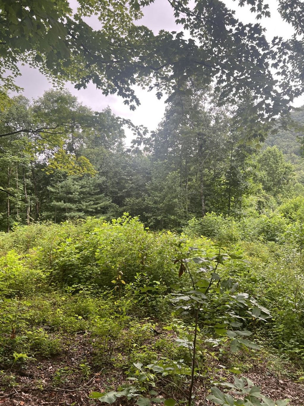 Photo of Lot 20 Garnet Ridge, Sylva, NC 28779 (MLS # 26041859)