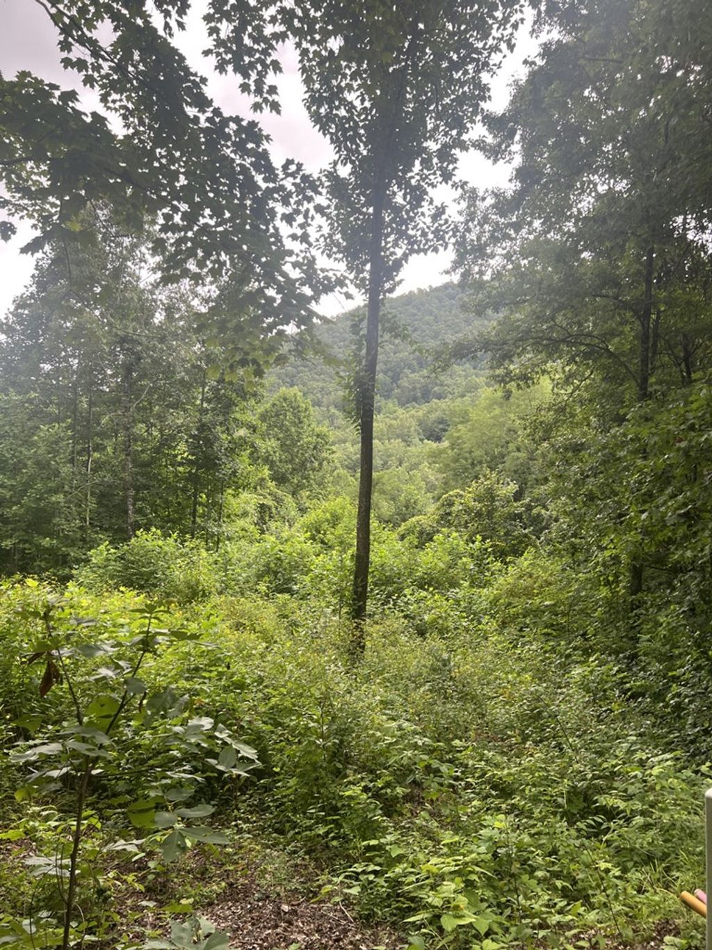 Photo of Lot 20 Garnet Ridge, Sylva, NC 28779 (MLS # 26041859)