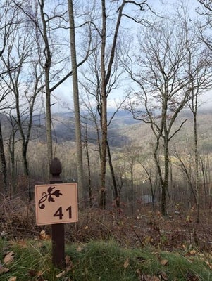 686 HIGH VALLEY RD, BRYSON CITY, NC 28713 - Image 540f75ace2cc3ad044a69c726e7fc68d/2257121329