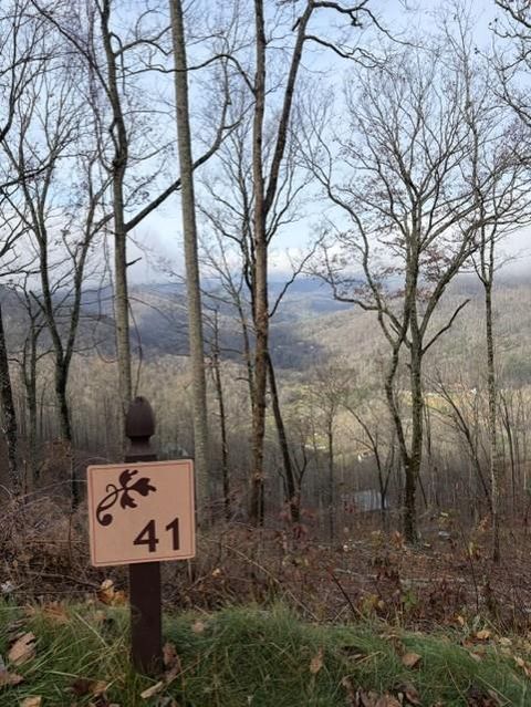 Photo of 686 High Mountain View, Bryson City, NC 28713 (MLS # 26047989)