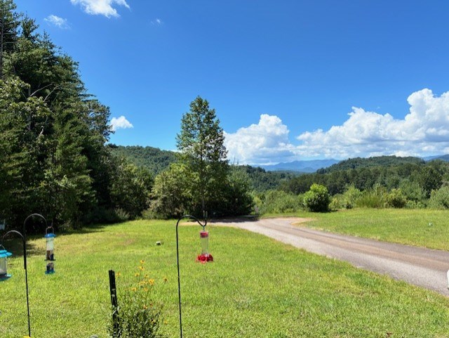 Franklin, North Carolina 28734, United States, 1 Bedroom Bedrooms, ,2 BathroomsBathrooms,Residential,Active,180573