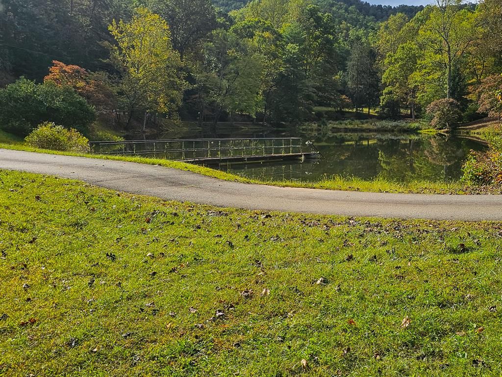 Photo of 9999 Good Things Road, Sylva, NC 28779 (MLS # 26042310)